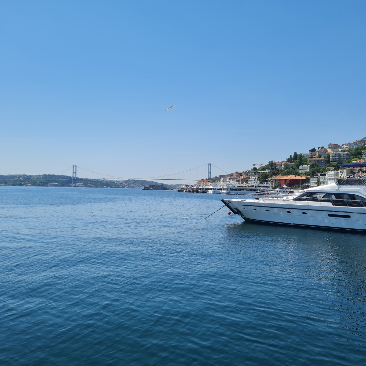 The top 10 things to do in Istanbul: Enjoy the full experience of the city